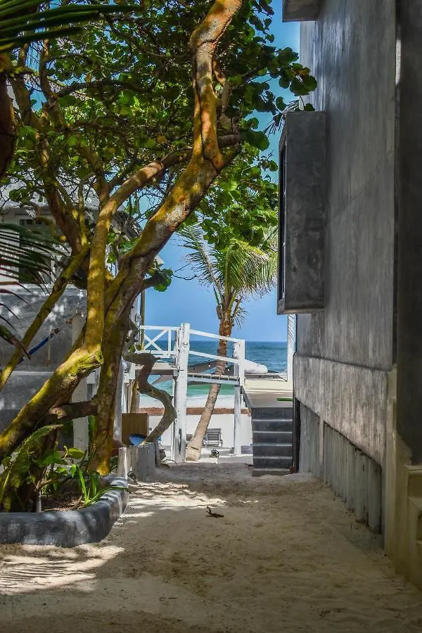 Posada Lamar Tulum Beach Front And Pool Hotel
