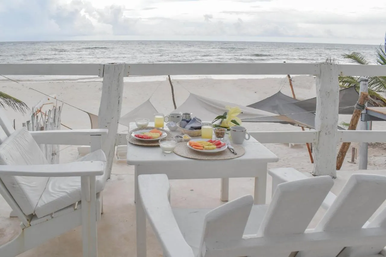 Posada Lamar Tulum Beach Front And Pool Hotel