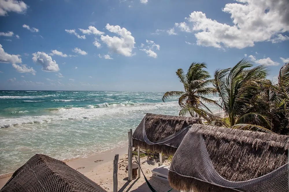 Posada Lamar Tulum Beach Front And Pool